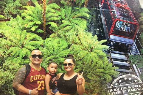 Blue Mountains Private Day Tour From Sydney With Wildlife Park And Cruise - Darwin Holiday 4