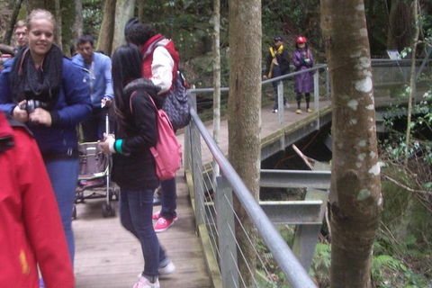 Blue Mountains Private Day Tour From Sydney With Wildlife Park And Cruise - Darwin Holiday 8