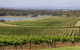 Hunter Valley Wine Tour From Sydney With Lunch And 3 Cellar Door Tastings - thumb 1