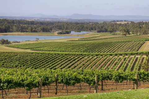 Hunter Valley Wine Tour From Sydney With Lunch And 3 Cellar Door Tastings - Darwin Holiday 1