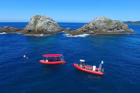 3-Hour Sea Turtle Snorkeling Experience In Byron Bay - Darwin Holiday 8