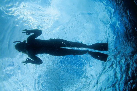 3-Hour Sea Turtle Snorkeling Experience In Byron Bay - Darwin Holiday 9