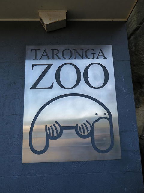 Sydney Harbour Ferry With Taronga Zoo Entry Ticket - Darwin Holiday 5