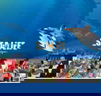 Sydney Attractions Pass SEA LIFE Aquarium Sydney Tower Eye WILD LIFE Zoo and Madame Tussauds - Darwin Holiday