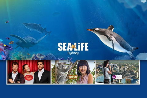 Sydney Attractions Pass: SEA LIFE Aquarium, Sydney Tower Eye, WILD LIFE Zoo And Madame Tussauds - Darwin Holiday 0