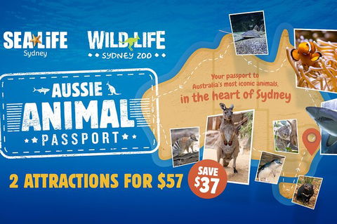 Sydney Attractions Pass: SEA LIFE Aquarium, Sydney Tower Eye, WILD LIFE Zoo And Madame Tussauds - Darwin Holiday 4