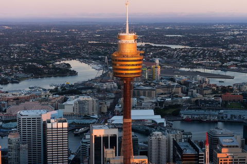 Sydney Attractions Pass: SEA LIFE Aquarium, Sydney Tower Eye, WILD LIFE Zoo And Madame Tussauds - Darwin Holiday 8