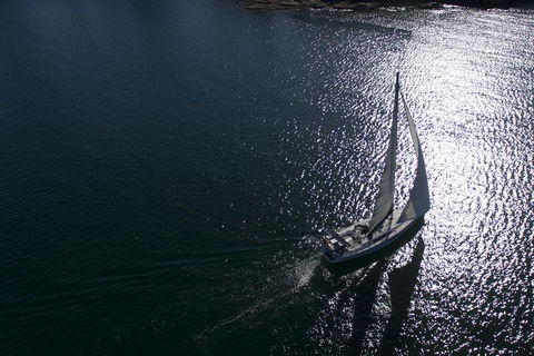 Whale Watching Sailing Experience In Sydney - Darwin Holiday 10