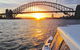 Sunset And Sparkle Sydney Harbour Cruise - thumb 2