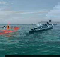 Kayaking with Dolphins in Byron Bay Guided Tour - Darwin Holiday