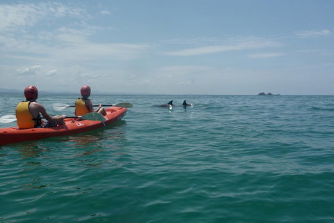 Kayaking With Dolphins In Byron Bay Guided Tour - Darwin Holiday 0