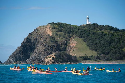 Kayaking With Dolphins In Byron Bay Guided Tour - Darwin Holiday 2