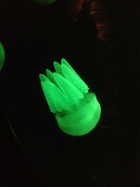 SEA LIFE Sydney Aquarium Entrance Ticket - Darwin Holiday 2