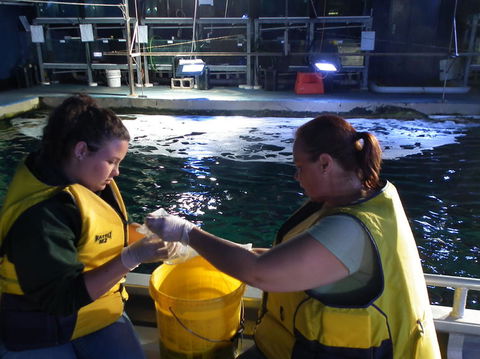 SEA LIFE Sydney Aquarium Entrance Ticket - Darwin Holiday 14