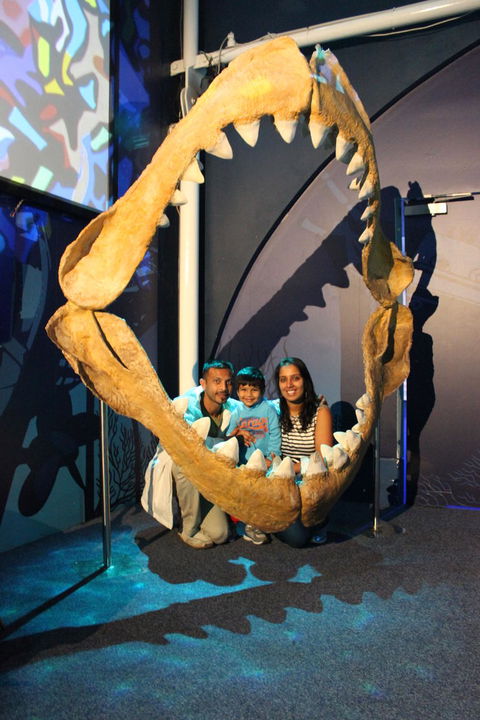 SEA LIFE Sydney Aquarium Entrance Ticket - Darwin Holiday 6