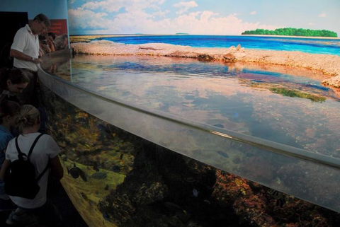 SEA LIFE Sydney Aquarium Entrance Ticket - Darwin Holiday 24