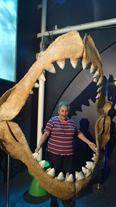 SEA LIFE Sydney Aquarium Entrance Ticket - Darwin Holiday 3