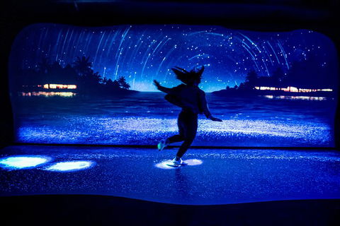 SEA LIFE Sydney Aquarium Entrance Ticket - Darwin Holiday 35