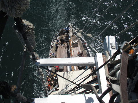 Sydney Harbour Tall Ship Lunch Cruise - Darwin Holiday 4