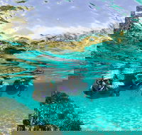 Sydney 3-Hour Snorkeling Tour - Darwin Holiday