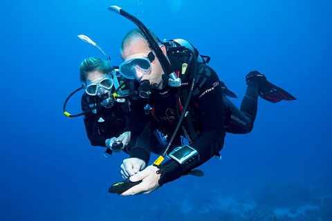 Sydney Guided Shore Dive - Darwin Holiday 3