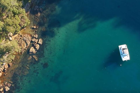 Harbour Sights Lunch Cruise On Sydney Harbour - Darwin Holiday 8