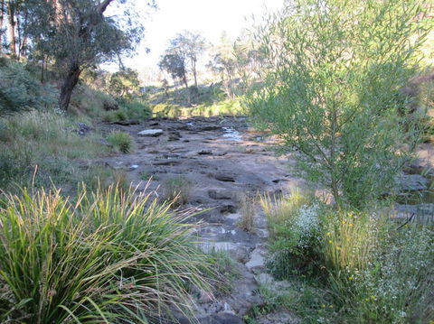 Wild Australian Wildlife 4WD Tour From Sydney - Darwin Holiday 22