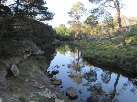 Wild Australian Wildlife 4WD Tour From Sydney - Darwin Holiday 21