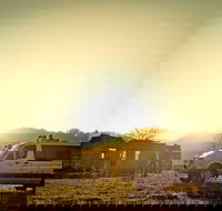 Wild Australian Wildlife 4WD Tour from Sydney - Darwin Holiday