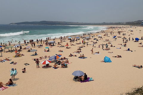 Experience The Real Sydney With Our Signature Tour - Darwin Holiday 7