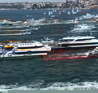 Australia Day Sydney Harbour Cruise - Darwin Holiday
