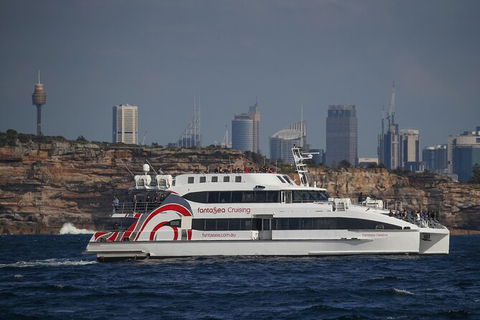 3 Hour Discovery Cruise Ultimate Whale Watching Experience - Darwin Holiday 6