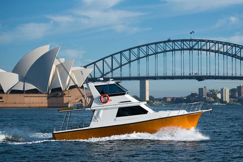 Private Whale Watching Tour Sydney - Luxury Yacht Up To 12 Guests - Darwin Holiday 0