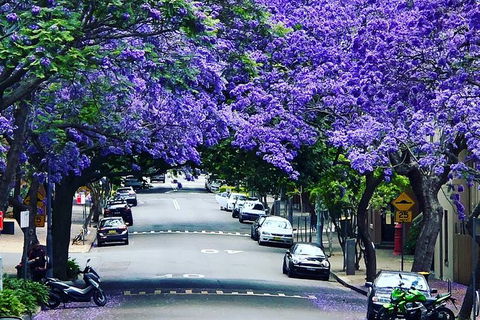 Story Of Sydney Tour - Darwin Holiday 9