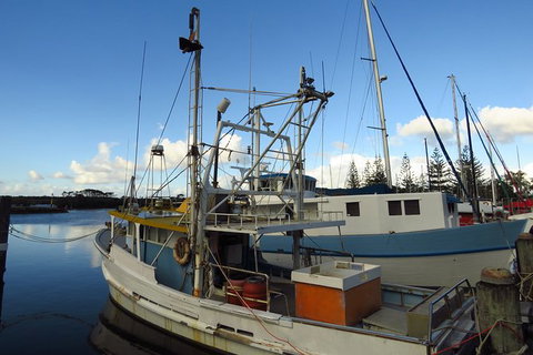 Beyond Byron Hinterland Tour - Darwin Holiday 6
