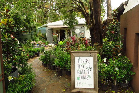 Beyond Byron Hinterland Tour - Darwin Holiday 2