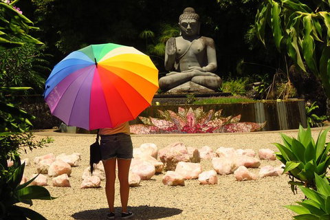 Beyond Byron Hinterland Tour - Darwin Holiday 4