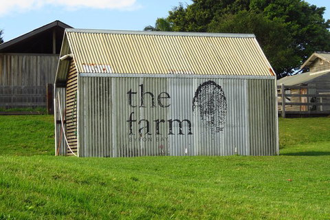 3-Hour Small-Group Byron Bay Tour - Darwin Holiday 10