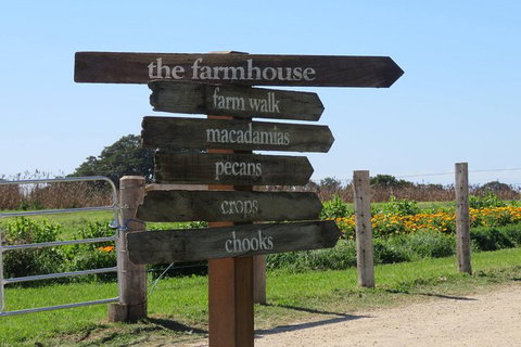 3-Hour Small-Group Byron Bay Tour - Darwin Holiday 3