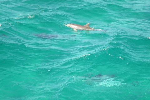 3-Hour Small-Group Byron Bay Tour - Darwin Holiday 5