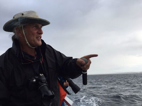 Sydney Whale-Watching Cruise Including Lunch Or Breakfast - Darwin Holiday 7