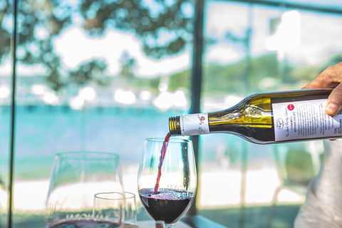 Sydney Harbour Progressive Long Lunch Cruise - Darwin Holiday 13