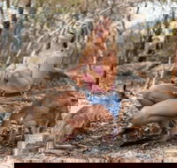 Hunter Valley Wine and Wildlife Reserve Tour from Sydney - Darwin Holiday