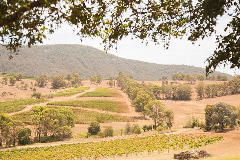 Hunter Valley Wine And Wildlife Reserve Tour From Sydney - Darwin Holiday 6