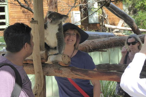 Hunter Valley Wine And Wildlife Tour From Sydney With Walkabout Wildlife Park - Darwin Holiday 1
