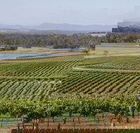 Hunter Valley Wine and Wildlife Tour from Sydney with Walkabout Wildlife Park - Darwin Holiday