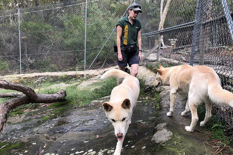 Visit Walkabout Wildlife Sanctuary - Darwin Holiday 8
