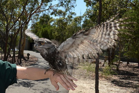 Visit Walkabout Wildlife Sanctuary - Darwin Holiday 4