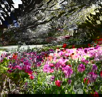 Spring Gardens in the Blue Mountains Private Tour Limited Time Only - Darwin Holiday