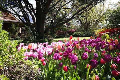 Spring Gardens In The Blue Mountains Private Tour Limited Time Only - Darwin Holiday 0